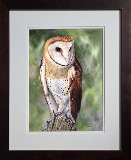 Click to view detail for Barn Owl 14x10 $1100